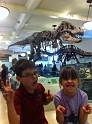 KIds-NYC_AMNH_3-2014_T-Rexs (1)